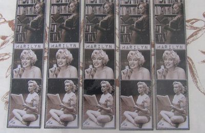 Mes MP "maison" [Marilyn] 9
