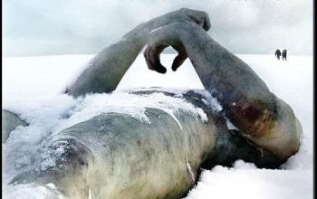 Last winter - film de 2010 -