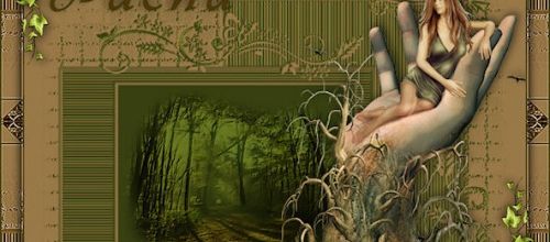 Duel tube imposé - août