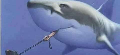 Souvenir de vacances