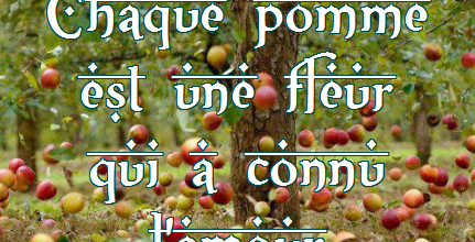 Chaque pomme est une fleur