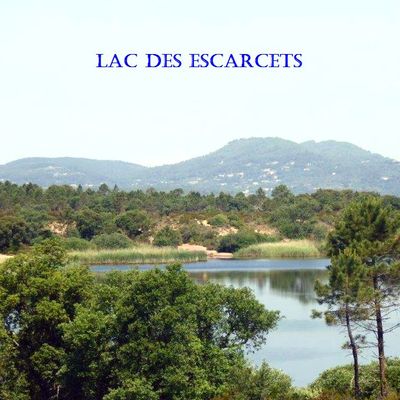La Plaine des Maures : dimanche 18 mai
