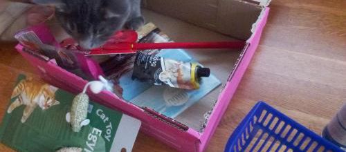 Miaoubox de Juillet 2015