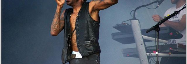 Skip the Use (1) - Festival des Vieilles Charrues 2014