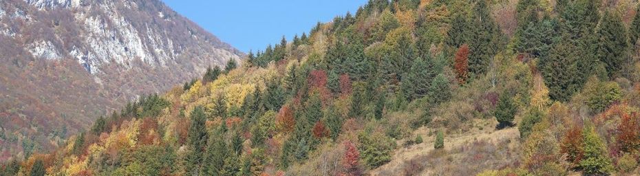 Couleurs d'automne