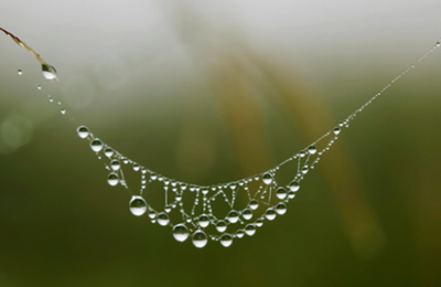 Sons et pluie d'orage