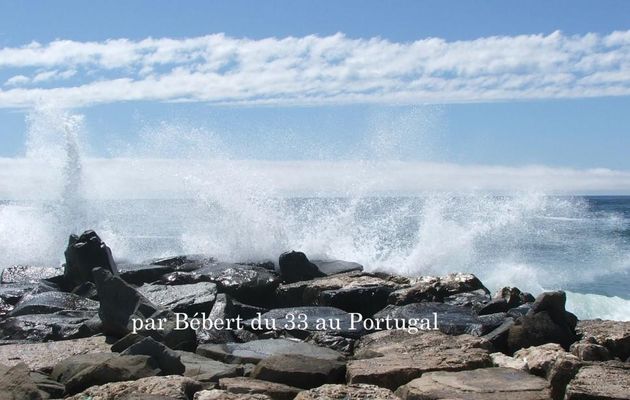 une belle vague au Portugal