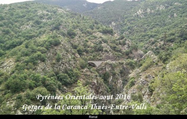 Pyrénées Orientales, Aout 2016  Gorges de la Caranca Thuès-Entre-Valls