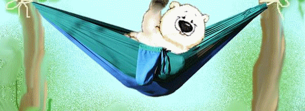 Blog en pause