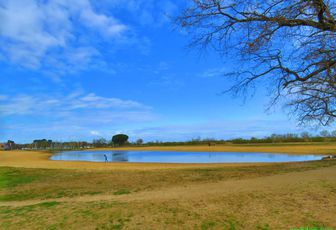 le lac du Teich - APN