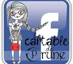 Lancement de ma page Facebook
