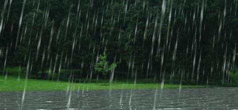 Pluie