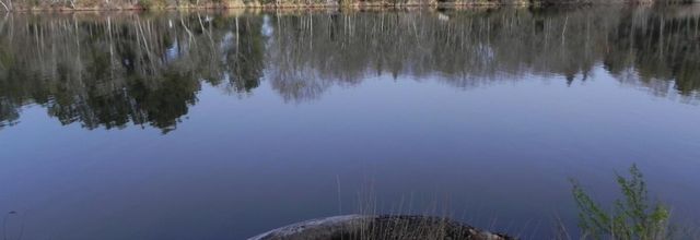 Reflet au lac de Hostens dept 33