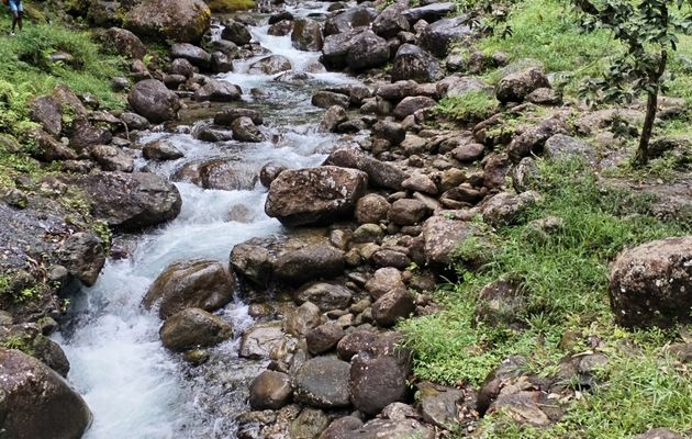 CITATIONS EXTRAITES DE SAGESSE DU MONDE (3)
