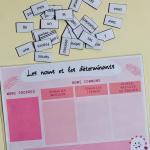 Grammaire : atelier les noms