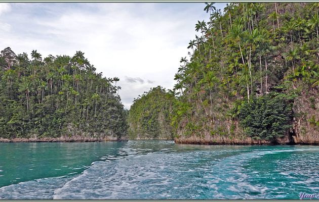 Nous sortons du labyrinthe rocheux avec un dernier arrêt près de la falaise, une rigolade, une rencontre, et retour vers le navire - Triton Bay - Papua Barat - Papouasie - Indonésie
