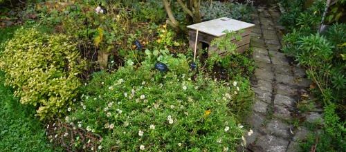 Chambre d'hôte pour Néné