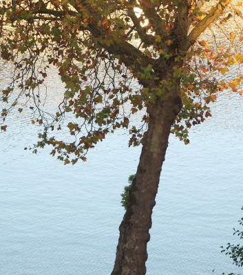 Pause au bord du canal ....