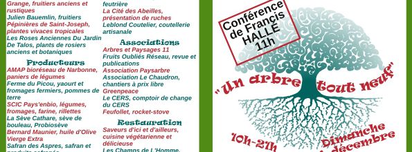 Fete de l'arbre à Lagrasse