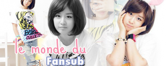 Mon avis sur le fansub de drama
