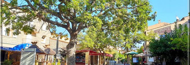 1016 - Les Salles-sur-Verdon dans le Var (83) 