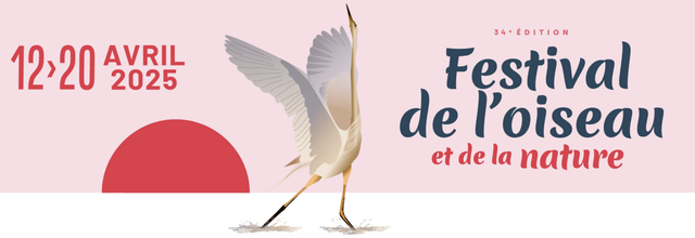 Le cinéma animalier au 34ème Festival de l'oiseau