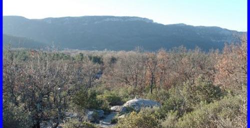Les gorges du Caramy en hiver