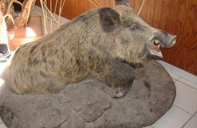 Quelques réalisations de Vincent Espaullard....