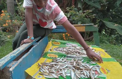 “Semer la paix là où le sol tremble.”