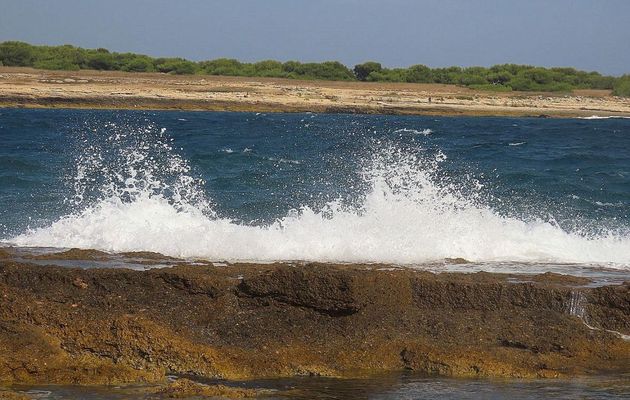 mes Vagues à Carro - 3