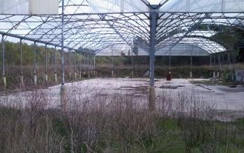 Le bout du chemin à Venelles : une serre ravagée -The end of the road in Venelles: a devastated greenhouse