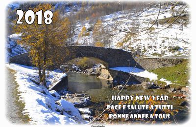 Bonne année 