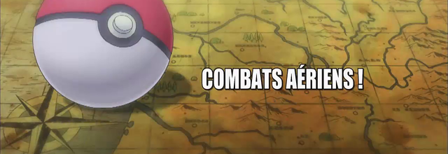 Pokémon - 17x35 - Combats aériens !