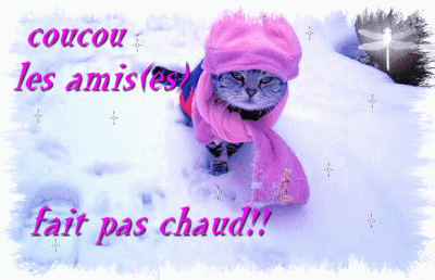 Chatons dans la neige