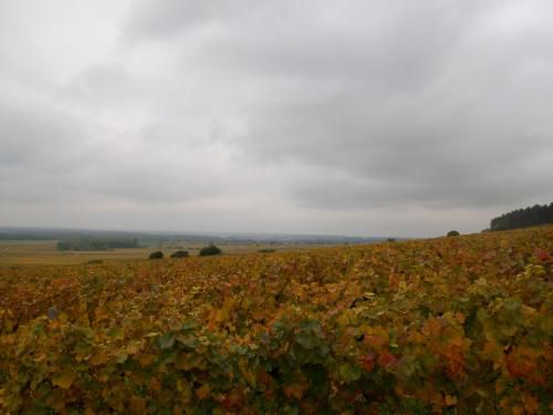 "En passant par Le Chambertin" - Mercredi 14 octobre 2015