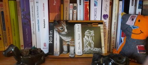 Chats de bibliothèque (1)