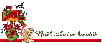 Noël arrive bientôt...
