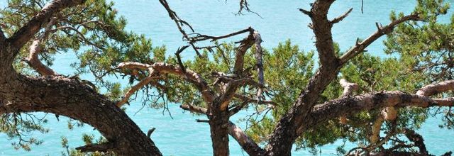 Lac en Provence - 