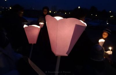 Pornic, Fête des Lumières - 2016