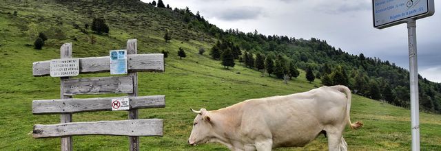 Col d'Aspin (65)