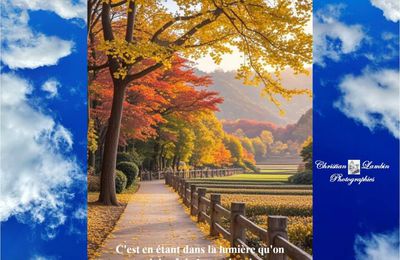 J'aime...
