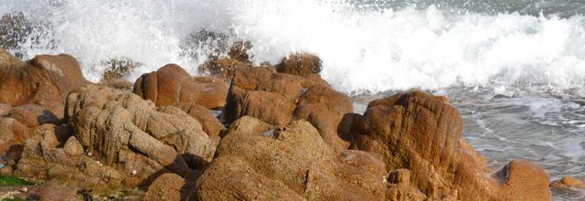  Ce matin la ...la mer    