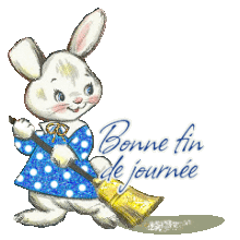 Bonne soirée-Bonsoir, fin de journee