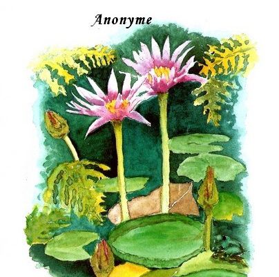 Citations en images : Pardonner