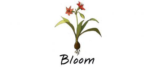Bloom 