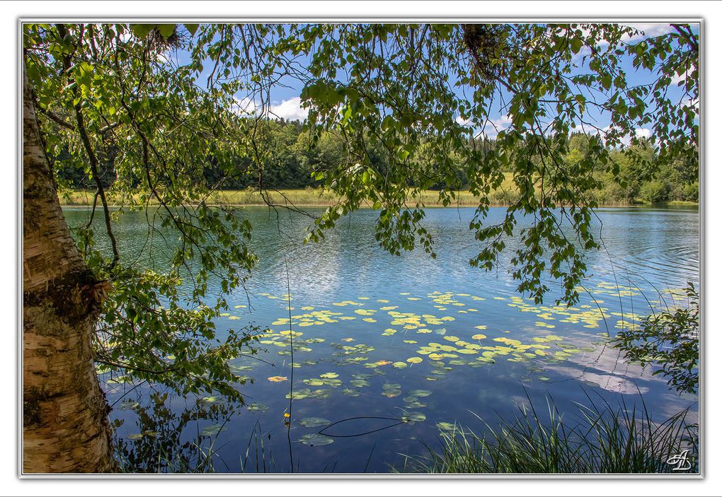 05 - Paysages