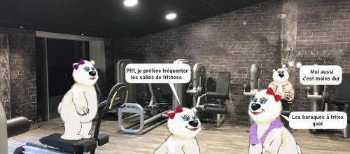 Les aventures des banquisards 