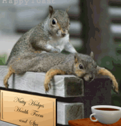 Massage et cup of tea !