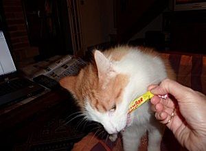carambar !!!