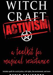 Electronic books download free Witchcraft Activism: A Toolkit for Magical Resistance (Includes Spells for Social Justice, Civil Rights, the Environment, and More) by David Salisbury 9781578636570